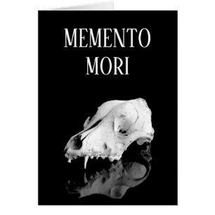 Animal skull