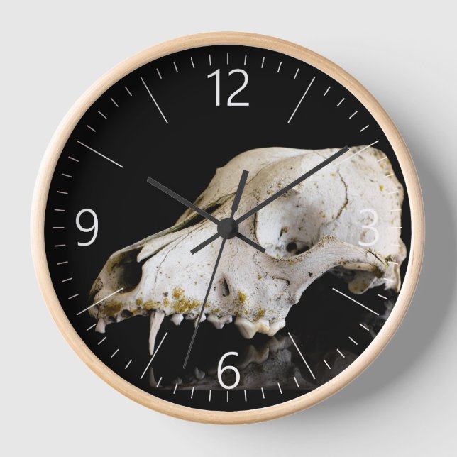 Animal skull clock (Front)