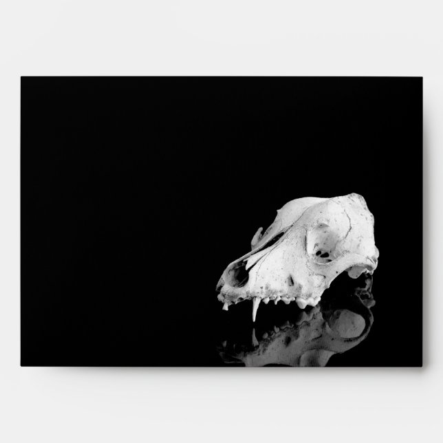 Animal skull envelope (Front)