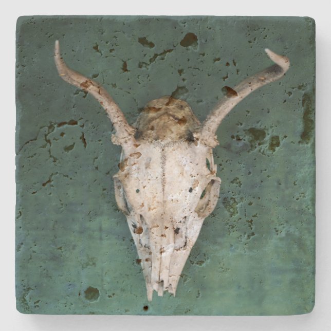 Animal Skull Stone Coaster (Front)