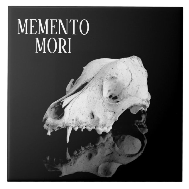 Animal skull tile (Front)