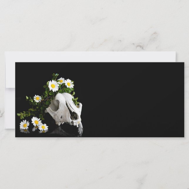 Animal skull with a wreath of wild flower (Front)