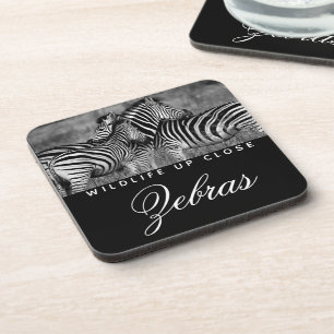 Animal Stripe Black White Wildlife up Close Coaster