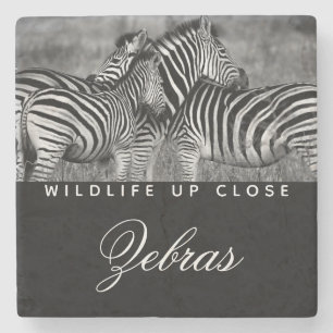 Animal Stripe Black White Wildlife up Close Stone Coaster