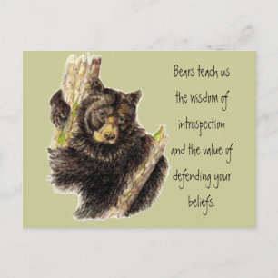 Animal Totem, Bears Nature, Spirit Guide Postcard