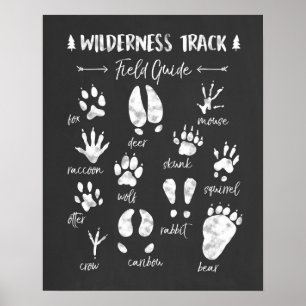 Animal Track nursery print Woodland Nursery