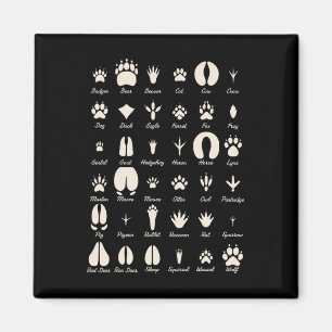 Animal Track S Common Animals And Wildlife Tracks Magnet