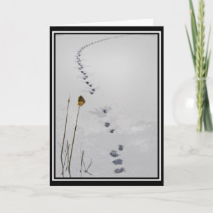 Animal Tracks Note Card