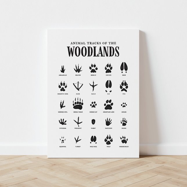 Animal Tracks Woodland Nursery Canvas Print (Creator Uploaded)