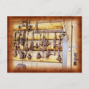Animal Traps in Alaska Postcard
