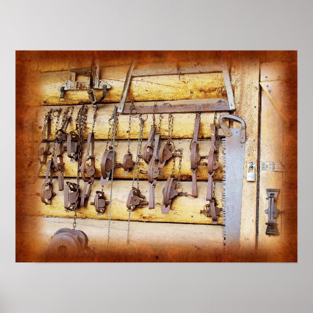 Animal Traps in Alaska Poster (Front)