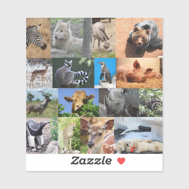 Animal Vinyl Sticker (Sheet)