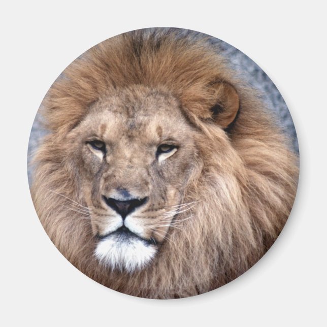 Animal Wild 1 Magnet (Front)