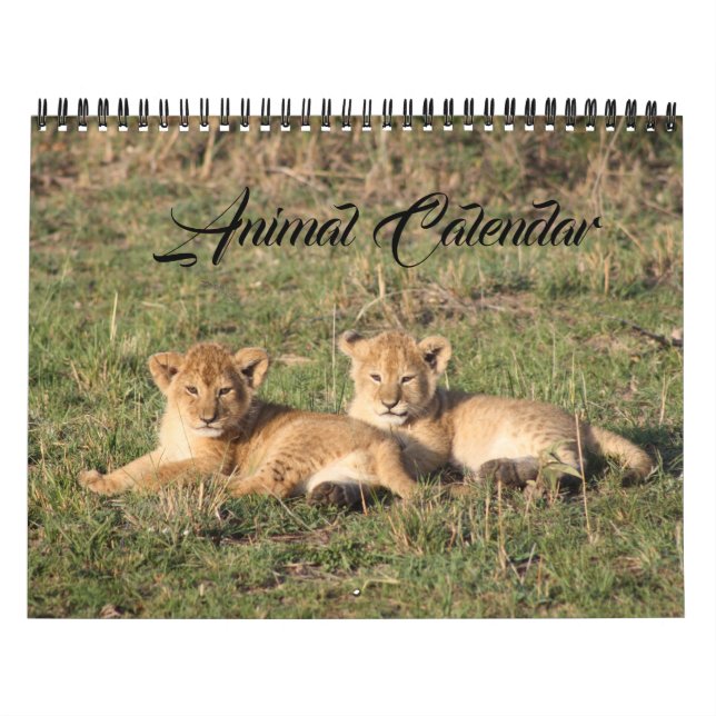 Animal Wild Life Office Home Destiny'S Destiny Calendar (Cover)