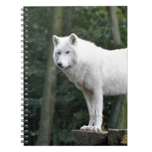 Animal Wolf Nature Peace Love Destiny Spiral Notebook