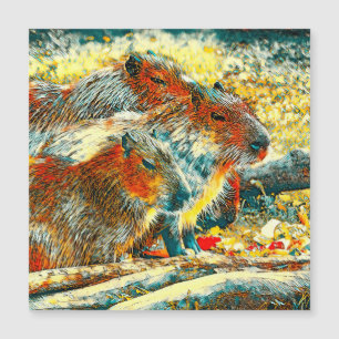 AnimalArt_Capybara_005