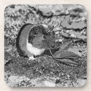 AnimalArtBW_GuineaPig_001 Coaster