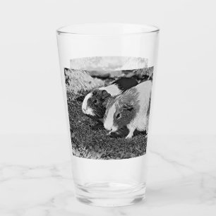 AnimalArtBW_GuineaPig_003 Glass