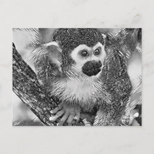 AnimalArtBW_Monkey_002 Postcard