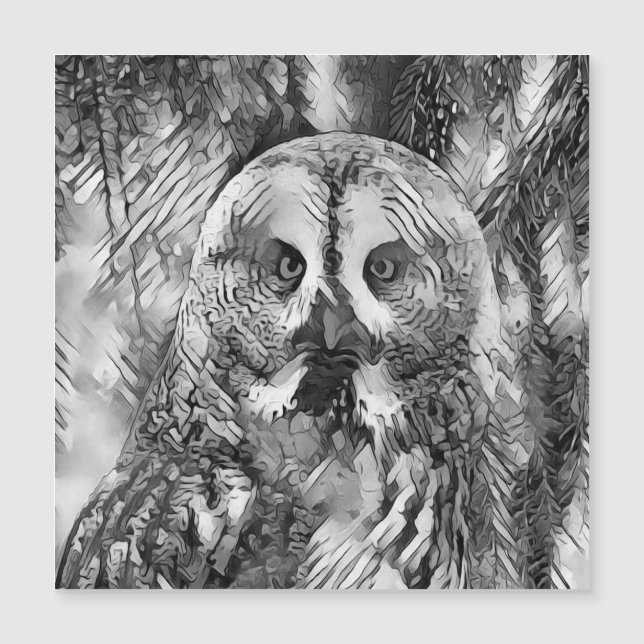 AnimalArtBW_Owl_001 (Front)