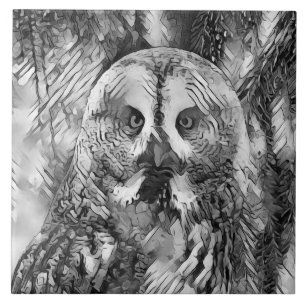 AnimalArtBW_Owl_001 Tile