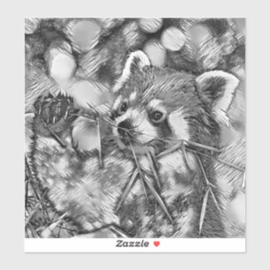 AnimalArtBW_RedPanda_001
