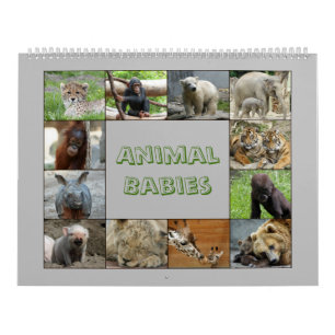 AnimalBabies 001 Calendar