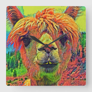 AnimalColor_Alpaca_003 Square Wall Clock