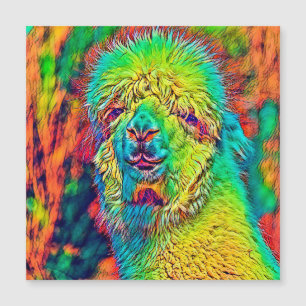 AnimalColor_Alpaca_005