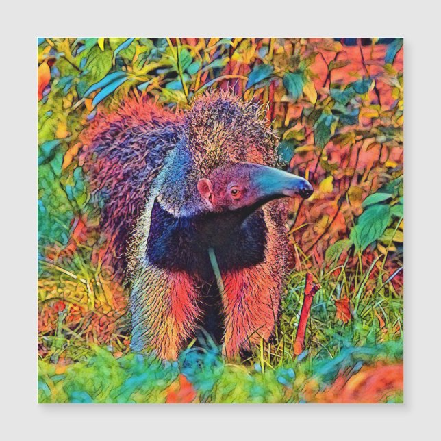 AnimalColor_Anteater_001 (Front)