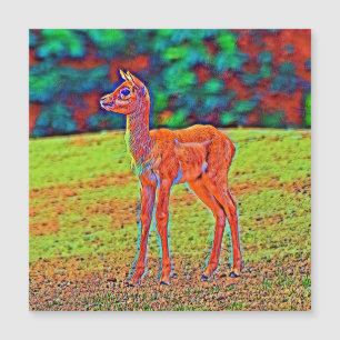AnimalColor_Antilope_001