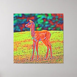 AnimalColor_Antilope_001 Canvas Print