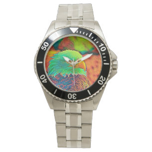 AnimalColor_Bird_008 Watch