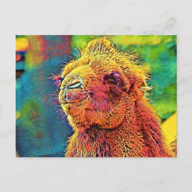 AnimalColor_Camel_07 Postcard (Front)