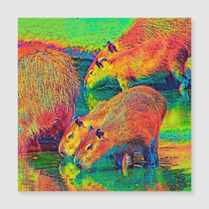 AnimalColor_Capybara_004