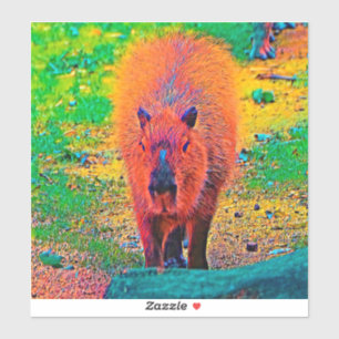 AnimalColor_Capybara_011