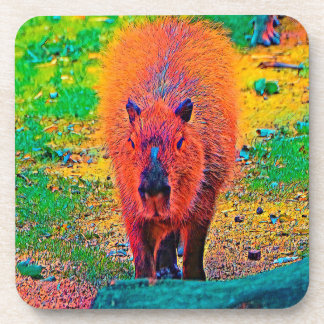 AnimalColor_Capybara_011 Coaster