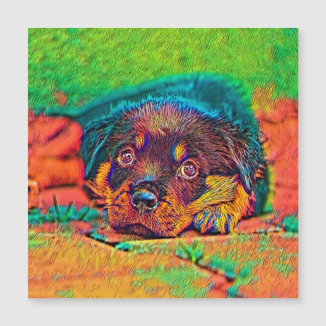 AnimalColor_Dog_002 (Front)