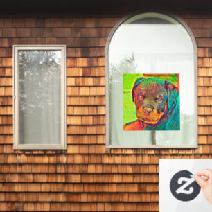 AnimalColor_Dog_003