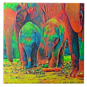 AnimalColor_Elephant_001 Tile