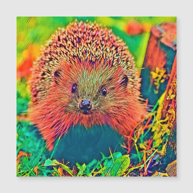 AnimalColor_Hedgehog_002 (Front)