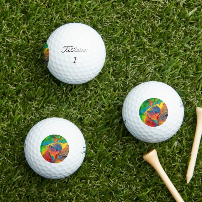 AnimalColor_Koala_001 Golf Balls (Insitu Grass)