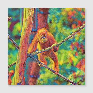 AnimalColor_OrangUtan_014