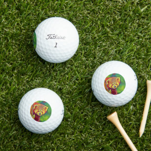 AnimalColor_RedPanda_016 Golf Balls
