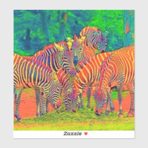 AnimalColor_Zebra_002
