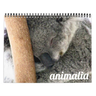 animalia 2027 calendar