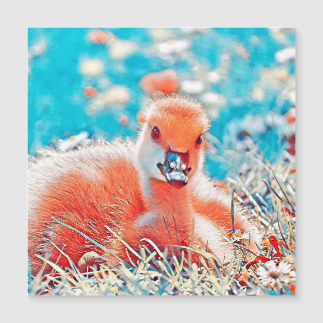 AnimalMix_Bird_019 (Front)