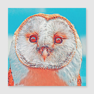 AnimalMix_Bird_023