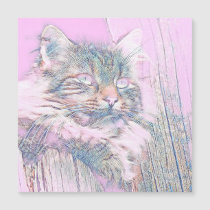 AnimalMix_Cat_012
