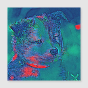 AnimalMix_Dog_022